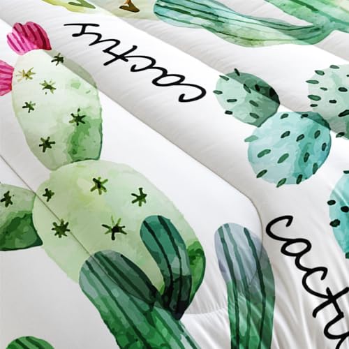 Image of AILONEN Cartoon Cactus Comforter Set Twin Size, Cute Style Succulent Plant Bedding Set for Kids Girls,Mexican Texas Cactus Plants Bed in a Bag,1 Quilt Set 2 Pillowcases,3 PCS