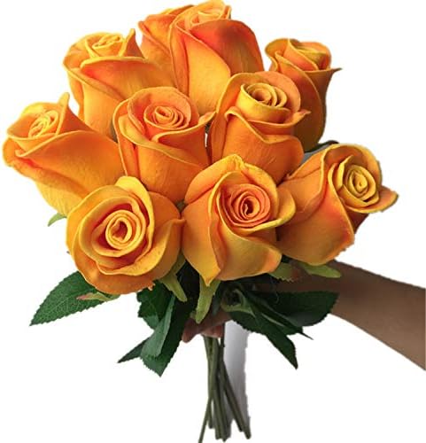 jiumengya 10pcs Real Touch Rose Simulated Fake Latex Champagne Color Rose Flowers 43cm for Wedding Party Artificial Decorative Flowers