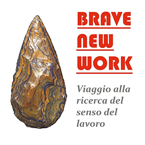 Brave new work - Viaggio alla ricerca del senso del lavoro copertina