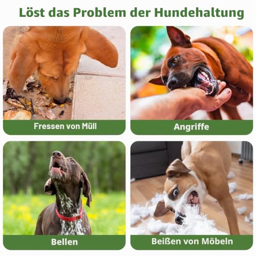 Maulkorb Mittlere Hunde, Hundemaulkörbe mit Klettverschluss, Atmungsaktive Hunde Maulkorb, Haustiermaske Hundemaulkorb mit Reflektierendem & Verstellbarem Riemen (XL)