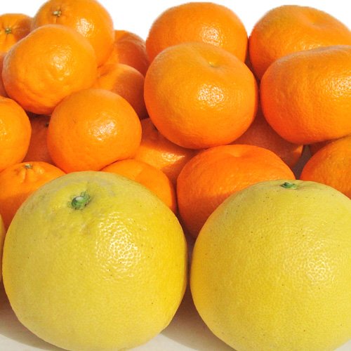 旬の柑橘詰め合わせ5kg 訳あり 愛媛県産【3種類以上の柑橘入り】清家ばんかんビレッジ 旬の柑橘詰め合わせ5kg 訳あり 愛媛県産【3種類以上の柑橘入り】清家ばんかんビレッジ