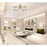 Apparence unique et rétro : la combinaison du style rétro et de la mode, de la grande illumination et de la décoration rend le plafond plus accrocheur et laisse une grande impression à vos clients, vos amis et vos familles.