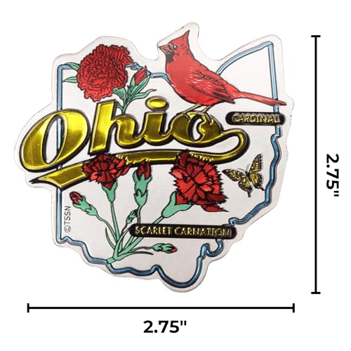 Imán decorativo de Ohio con diseño de cardinal y clavel rojo miniatura 6