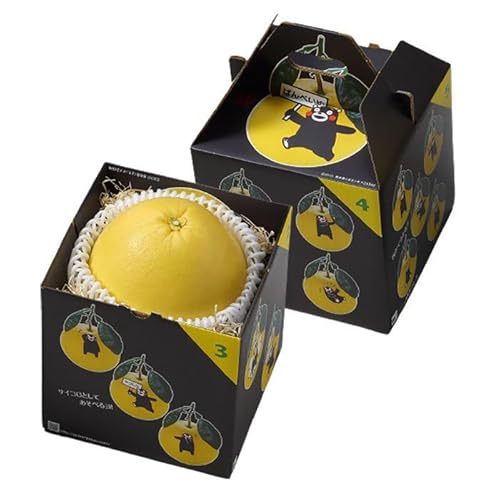 Ε ݂ ӔM ΂؂ 󂠂 2LTCY 1 1.8kg F{Y ϔ k  Mtg 