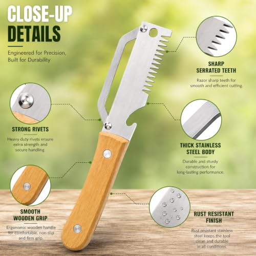 Image of 3 in 1 Stainless Steel Vegetable Peeler with Wooden Handle Bottle Opener Single Sharp Blade Hanging Design Fruit Vegetable Potato Carrot Kitchen Tool