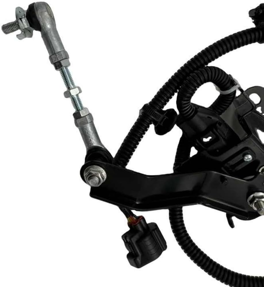 山採り ヤマモミジ 山採り 山もみじ 01 山採りヤマモミジ