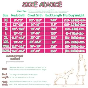 Paiaite Dog Clothes Fashionable Sleeveless Pet Vest: 'Little Miss Sassy' Printed Cotton Dog Shirt, Ideal for Small, Medium, and Large Breeds, Ensuring Comfort and Breathability Rose Red S Paiaite Dog Clothes Fashionable Sleeveless Pet Vest Little Miss Sassy Printed Cotton Dog Shirt Ideal for Small Medium and Large Breeds Ensuring Comfort and Breathability Rose Red S