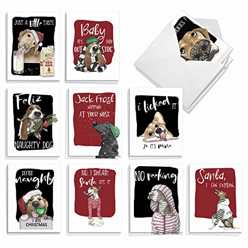 The Best Card Company - Variety Pack of 20 Christmas Greeting Cards with Envelopes, Humor Holiday Assortment for Men and Women (10 Designs, 2 Each) - Holiday Dog Antics AM2918XSG-B2x10