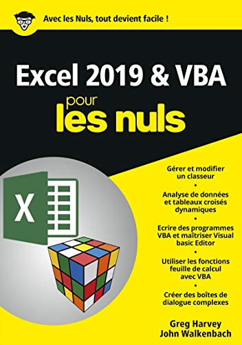 Télécharger Excel 2019 & VBA pour les Nuls, mégapoche PDF