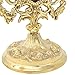 Needzo Ornate Brass Monstrance, Reliquary for Holy Eucharist, 5.75 x 9 Inches