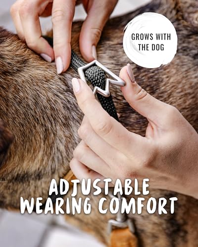 Rudelkönig Hundehalsband Emma - Elegantes Zugstopp Halsband aus Leder und Nylon - ø 12mm - Bequemes Tau Halsband für mittelgroße Hunde in schwarz