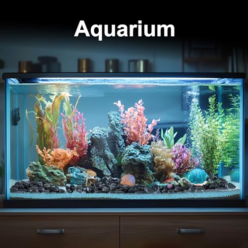 Image of Pulovin 20 lbs River Rocks for Landscaping, 2 inch-3 inch Natural Rocks for Aquarium, Fish Tank, Decorative Garden Stones for Plants, Flower Pots, Vase, Walkways