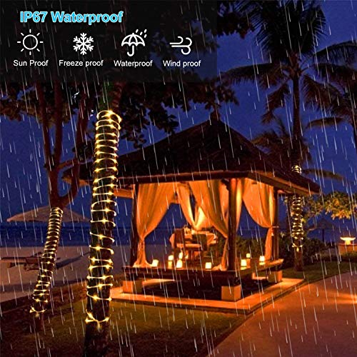 Solar Rope Lights Outdoor,Solar String Lights,Clear Tube LED Rope Light,Contain 2 Pack 65.6Ft 200 LED Light,Waterproof Solar Fairy Lights for Garden,Fence,Yard,Party,Valentine's Day Decoration