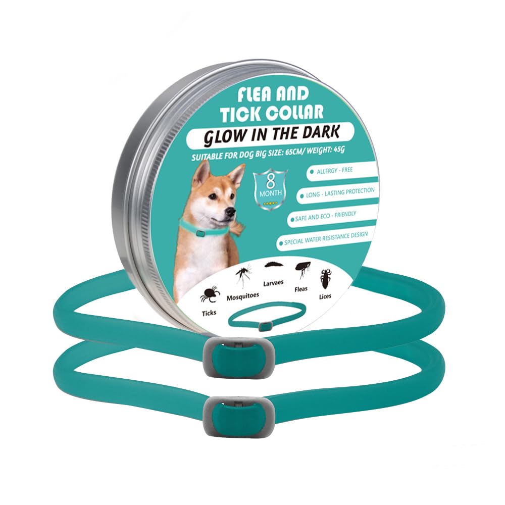 Collare Antipulci Per Cani Con Oli Essenziali – Protezione 12 Mesi, Regolabile 65 Cm, Impermeabile E Morbido