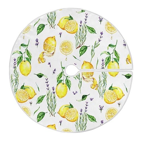 Troubleshooting A Christmas Tree Not Drinking Water Reasons, Signs