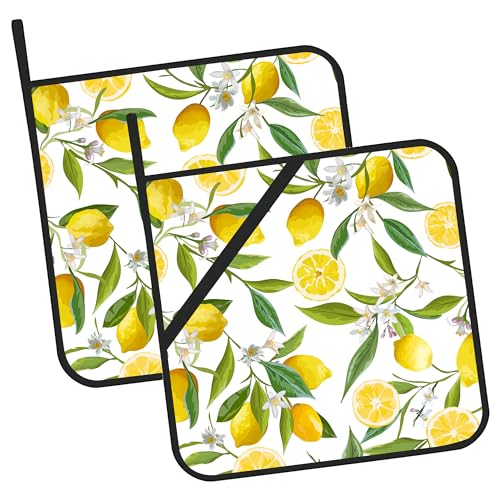 Jasakoo Lemon Fruits Pot Holders Set Of 2 Heat Resistant & Non Slip Potholders