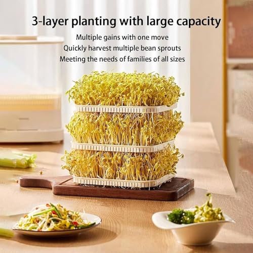 Machine automatique de germes de haricots et kit germination de graines - 5