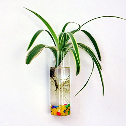 Recopilación y reviews de Jarrones decorativos jardín los mejores 5. 15 Imagen adicional