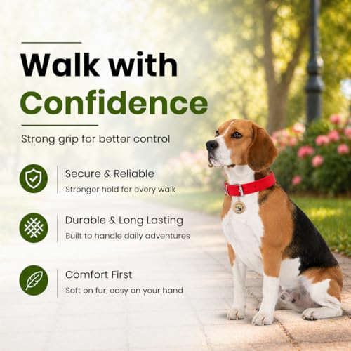 Image of Adjustable Nylon Dog Collar for Dogs & Puppies | Durable & Comfortable Neck Belt 1 Inch (Red, Medium)