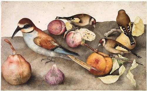 Tableau Nature Morte de Giovanna Garzoni Toile Poetique Inspirante Univers Poétique de la Nature