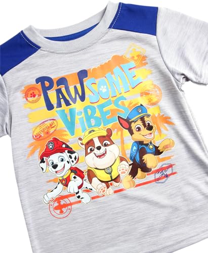 Nickelodeon Boys' Paw Patrol Shorts Set - 2 Piece T-Shirt and Shorts (Toddler/Little Boy) - Image 5