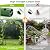 Fecita Thickened Rustproof Garden Arch Metal Trellis for Climbing Plants Outdoor, Wedding Arch Garden Arbor Frame Archway 4.9 x8.1 or 7.9 x6.7Ft Flower Arches for Bridal Party Decoration (Green)