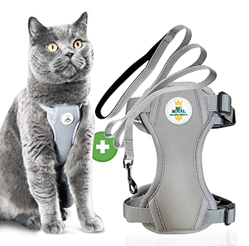 bestes katzengeschirr test