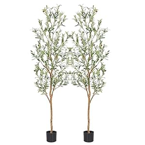 Faux Olive Tree 6ft,Olive Trees Artificial Indoor with Natural Wood Trunk and Realistic Leaves and Fruits. 6 Feet(72in) Fake Olive Tree for Home House Office Décor.2 Pack. Faux Olive Tree 6ftOlive Trees Artificial Indoor with Natural Wood Trunk and Realistic Leaves and Fruits 6 Feet72in Fake Olive Tree for Home House Office Decor2 Pack