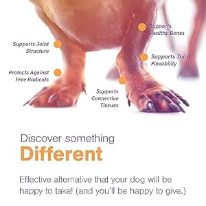 Joint-Support-Supplement-for-Dogs-Hip-and-Joint-Support-Dog-Joint-Supplement-Hip-and-Joint-Supplement-Dogs-120-Soft-Chews-for-Large-Dogs-By-Virbac - Cucciolini Doodles Joint-Support-Supplement-for-Dogs-Hip-and-Joint-Support-Dog-Joint-Supplement-Hip-and-Joint-Supplement-Dogs-120-Soft-Chews-for-Large-Dogs-By-Virbac