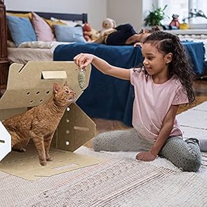 Disposablecardboardpetcarrier12case Urban Country Home Decor Disposable cardboard pet carrier 12case urban country home decor