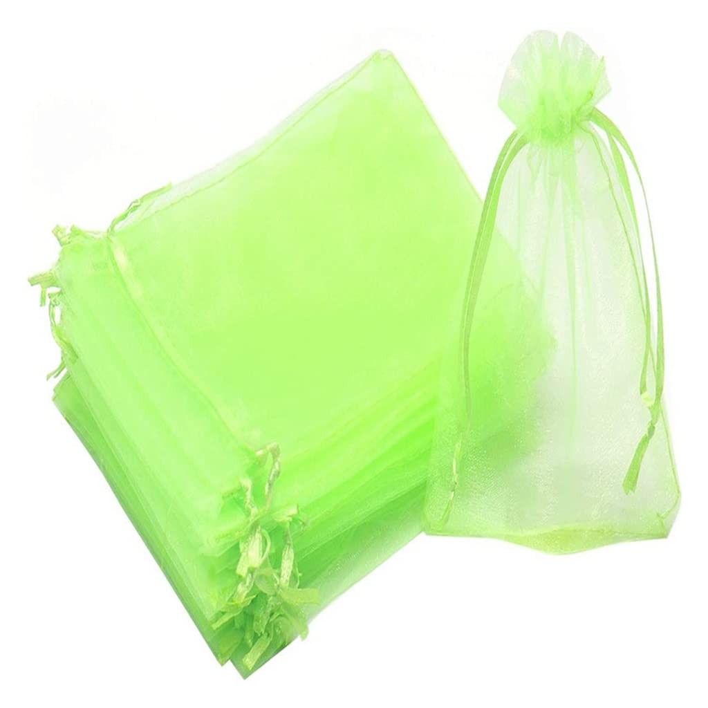 Fruit net bag, 100pcs Strawberry Grapes Fruit Grow Bags Netting Mesh Vegetable Plant Protection, For Garden Tools Supplies(Green,17x23cm (100 Pcs))
