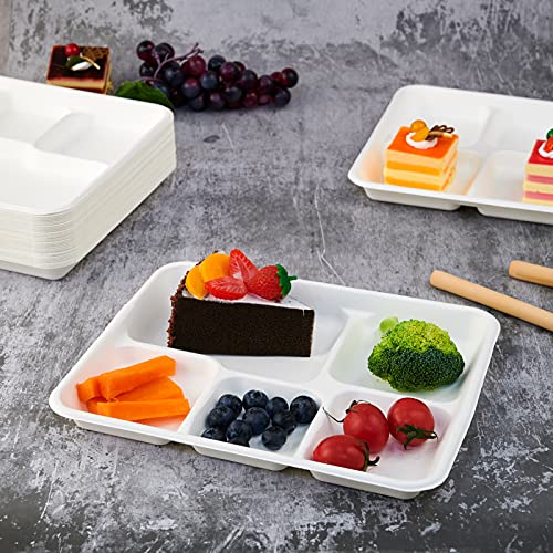 Vplus 100% Compostable Small 5 Compartment Plates 125 Pack 10.25 x 8.25 inch Disposable Sugarcane Bagasse Tray Perfect for Boys and Girls by Vplus - Image 6