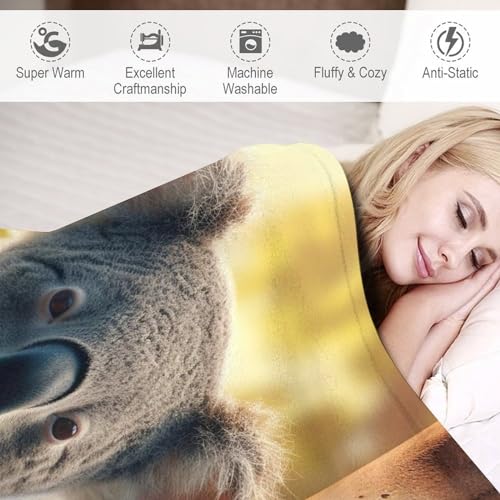 Couverture koala impression 3D grand format en polaire idée cadeau literie