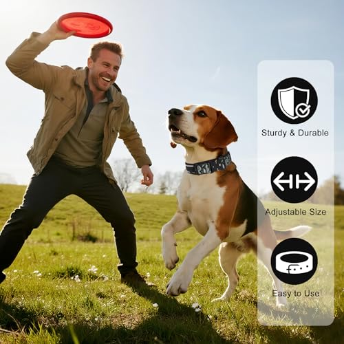 Taktisches Hundehalsband Reflektierend mit Metallschnalle, Weich Gepolstertes Nylon Hundehalsband 5cm Breit Verstellbare Halsband für Mittlere Große Hunde Jagd Training Freizeit Outdoor