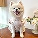 Dog Spring Bow Dress Dog Boy Girl Dogs for Indoor and Outdoor Use Princess Clothes Outfit for Pet Red Heart Pet Dress