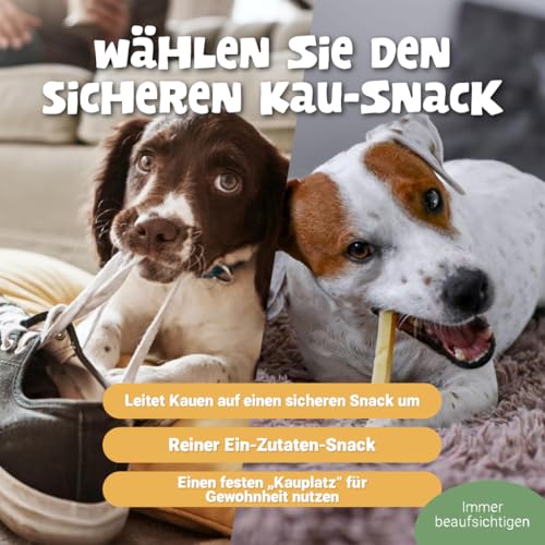 Pets Purest Himalaya-Yak-Milch-Kauartikel 5 Stück - 100% natürliche Käseknochen-Leckerbissen - Für alle Altersgruppen - Lang anhaltender Protein- & Kalzium-Zahnstick - gegen Plaque/Zahnstein