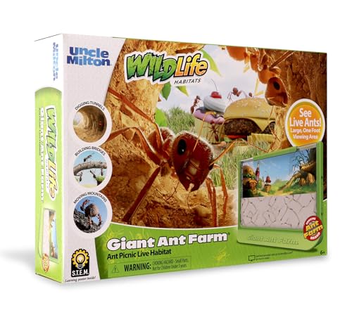 Uncle Milton Giant Ant Farm - Large Viewing Area - Care for Live Ants - Nature Learning Toy - Science DIY Toy Kit - Great Gift for Boys & Girls, Green - Image 3