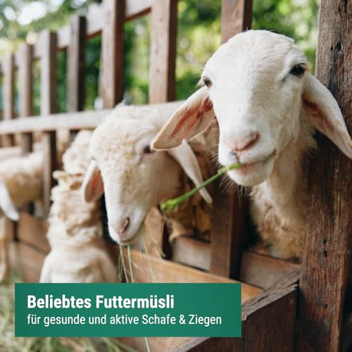 Agrarzone Schaffutter Ziegenfutter Müsli 20 kg - Artgerechtes Kraftfutter Schafe, Ziegen & Lämmer - 100% gentechnikfrei und staubfrei - Hergestellt in Österreich