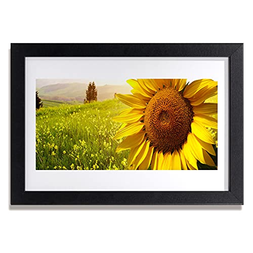 Affiche encadrée 30x20 cm tournesol sous cadre MDF noir pour salon