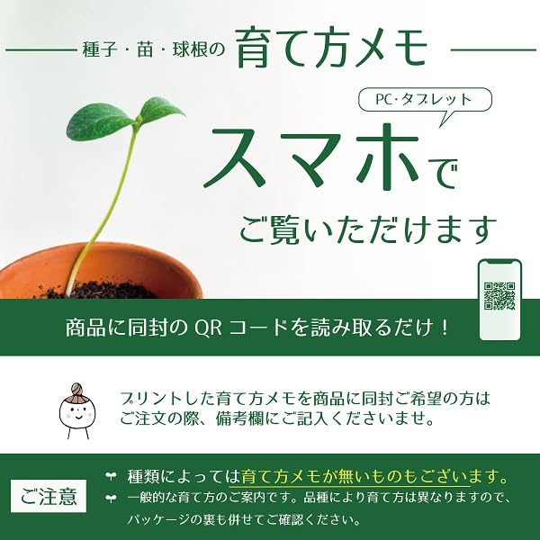 Amazon.co.jp: 【花苗】 ヒューケレラ タペストリー 9cmポット 1苗