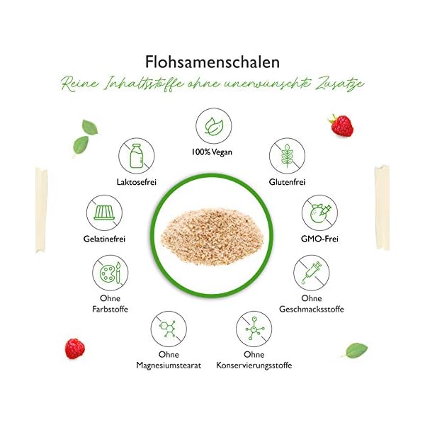 Flohsamenschalen 1,1 kg - 1100 g - Rückstandskontrolliert - 99% Reinheit - Herkunft: Indien - Low-Carb… – Bild 5