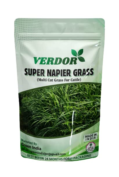 Super Napier Grass Seed High Yield Multi Cut Grass (100 Gram) for Cattle (B0CHRZYZ4V) Amazon Price History, Amazon Price Tracker