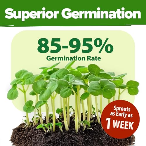 Image of HOME GROWN 70 Variety Vegetable & Herb Seeds 30,600+ USA Non-GMO Heirloom Survival Seeds Garden Kit for Spring, Fall, Winter Indoor & Outdoor Planting Starter Set for Home Gardeners & Preppers