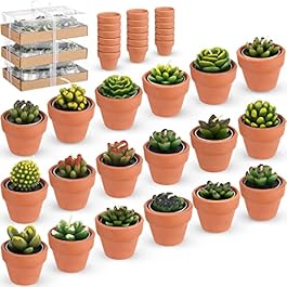 Treela 18 Pcs Succulent...