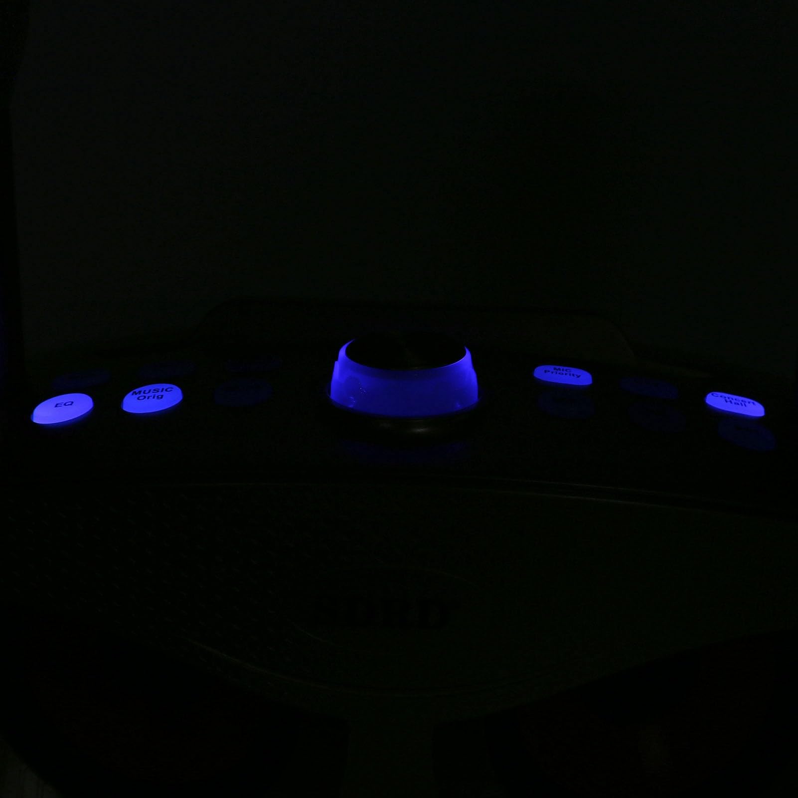Semme Altoparlante per Karaoke Familiare con Doppio Microfono Portatile, Stereo Portatile da Esterno con Funzione di Annullamento Vocale (GOLD)
