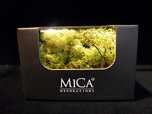 PLANTAS DE MUSGO ARTIFICIAL SURTIDAS 50GR Cover