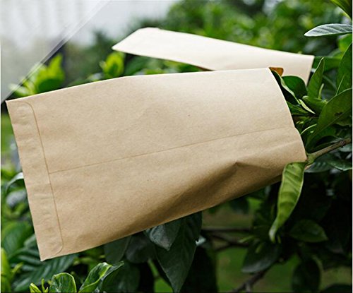 Walkingpround 100 Pieces Vintage Hybrid Seed Envelopes Blank Kraft Paper Brown Seed Bags Tobacco Seeds Corn Farm Bag (2.36" X 3.93") #TOP7