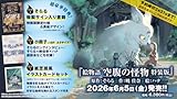 【Amazon.co.jp 限定】絵物語 空腹の怪物 特装版（特典：A5イラストカード付き）