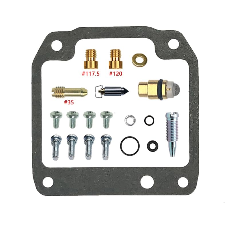 Kit carburateur AG200 avec pointeau 16QS1 pour stabiliser le ralenti
