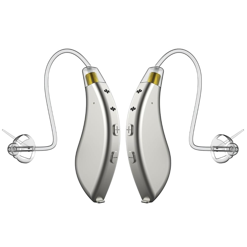 Top 10 Hearing Aids (for Easier Conversations) 8 BlaidsX Pro